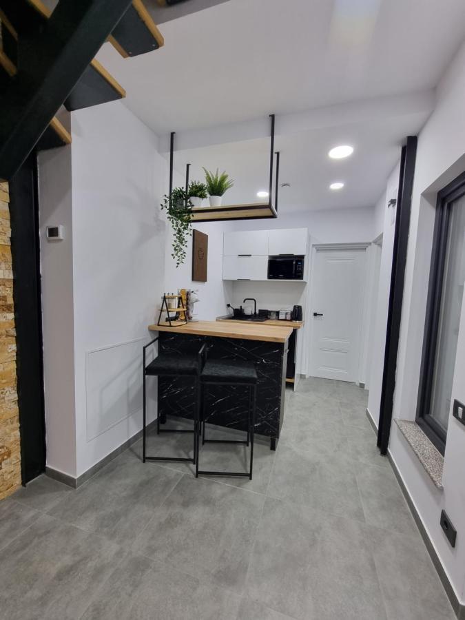 Casa Chiper - Apartament Parter Брашов Экстерьер фото